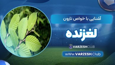 آشنایی با خواص نارون لغزنده