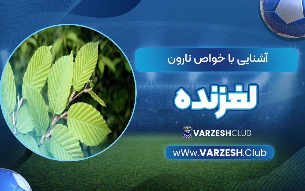 آشنایی با خواص نارون لغزنده