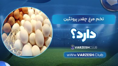 تخم‌مرغ چقدر پروتئین دارد؟