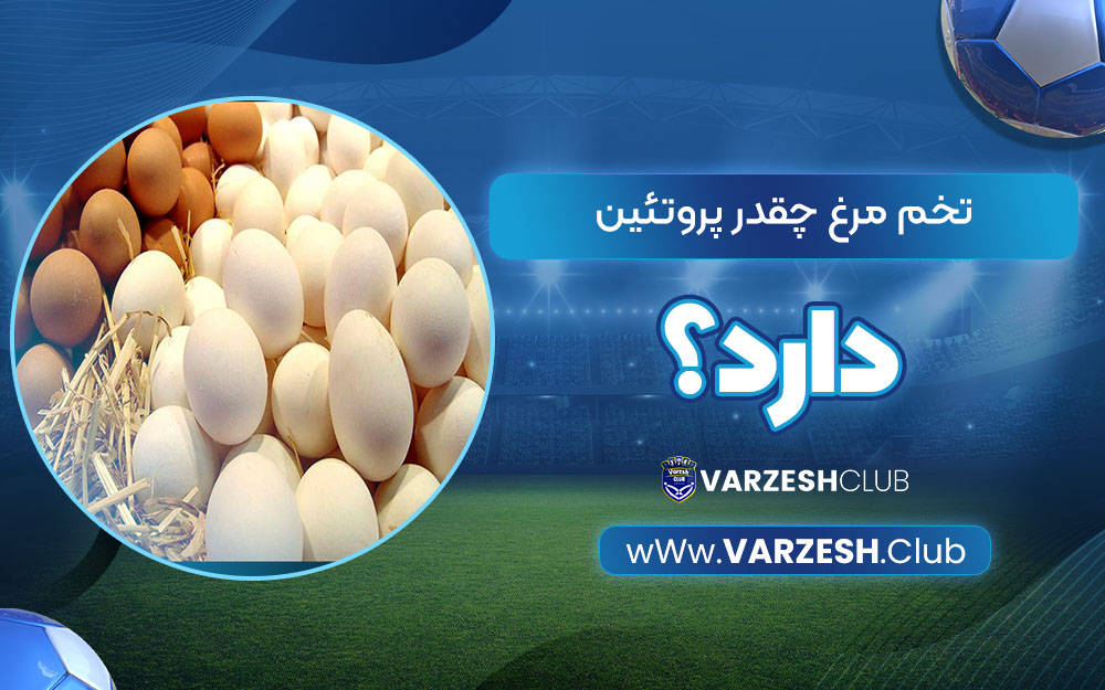 تخم‌مرغ چقدر پروتئین دارد؟