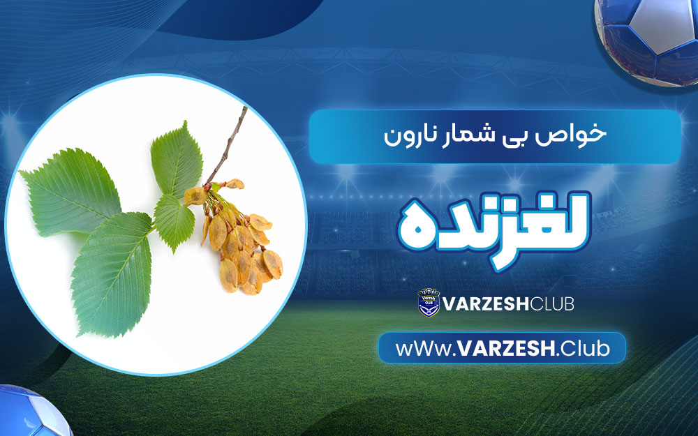 خواص بی شمار نارون لغزنده