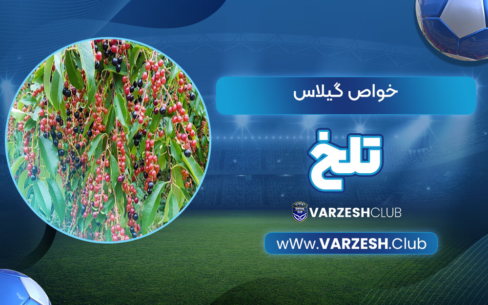 خواص گیلاس تلخ