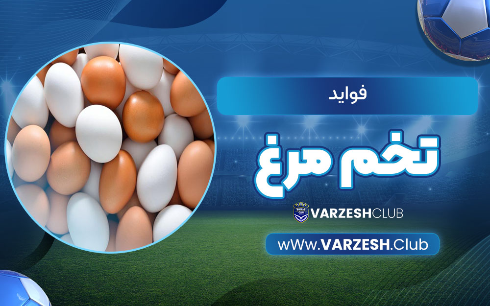 فواید تخم مرغ