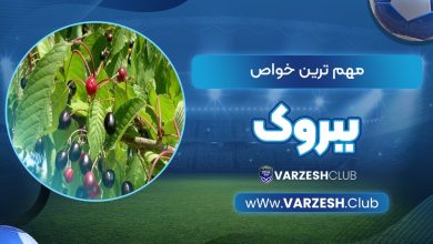 مهمترین خواص ببروک