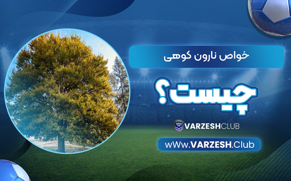 نارون کوهی چیست؟