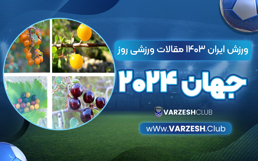 هلونه چیست؟