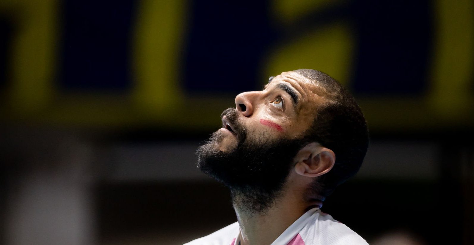 Earvin N’Gapeth wallpaper hd 
