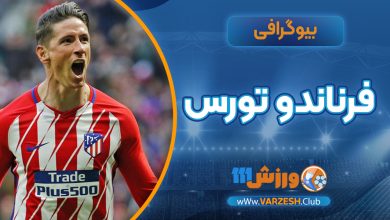 بیوگرافی فرناندو تورس